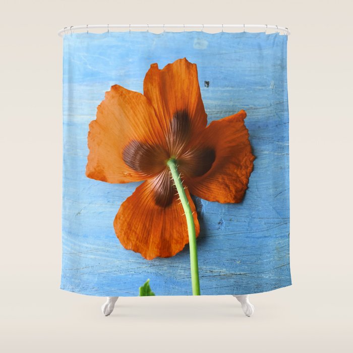 Red Poppy on Blue Shower Curtain Gallery Image 1