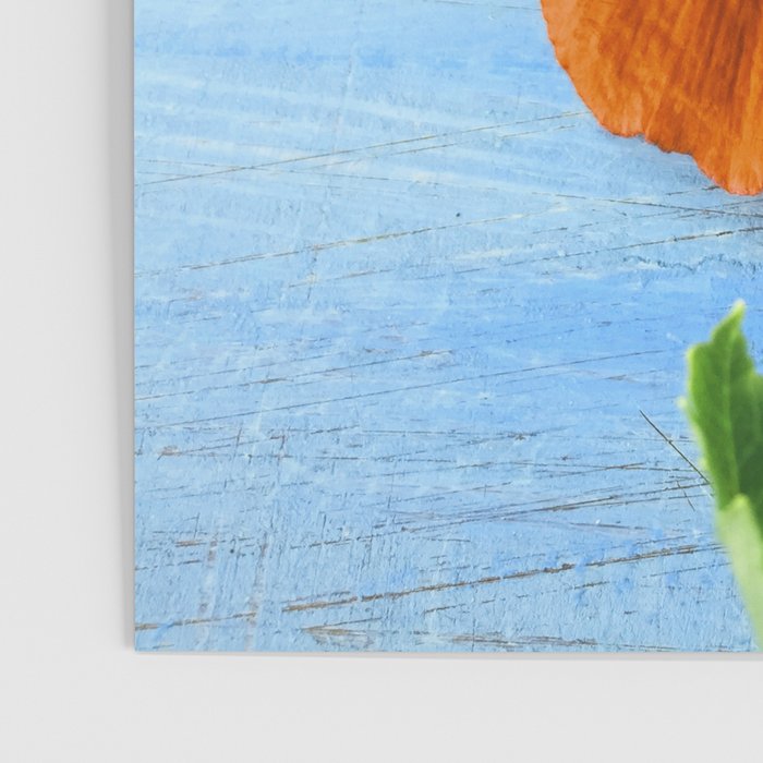 Red Poppy on Blue Poster Gallery Image 3