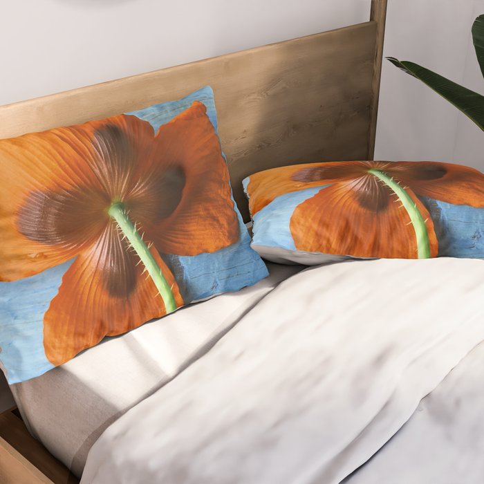 Red Poppy on Blue Pillow Sham Gallery Image 2