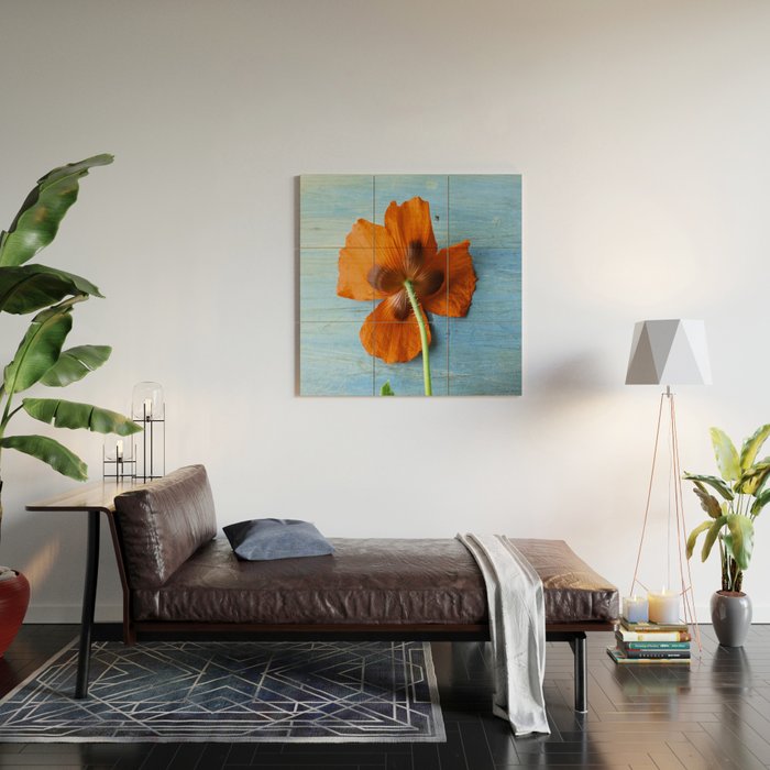 Red Poppy on Blue Wood Wall Art Gallery Image 2