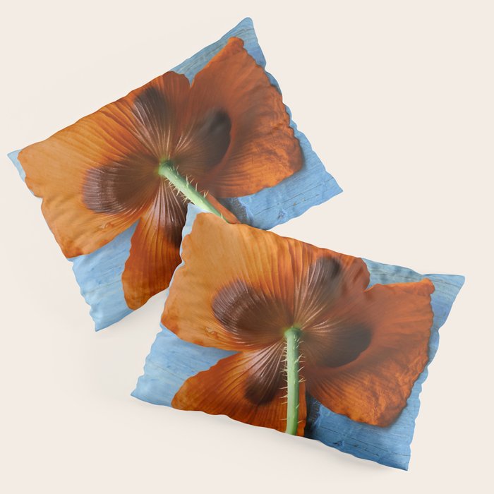 Red Poppy on Blue Pillow Sham Gallery Image 1