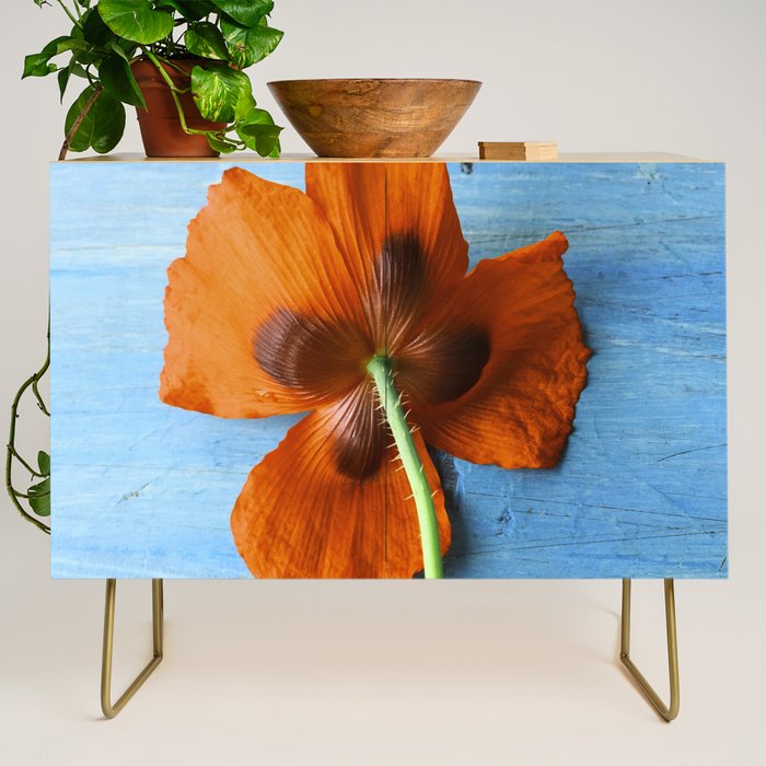 Red Poppy on Blue Credenza Gallery Image 1