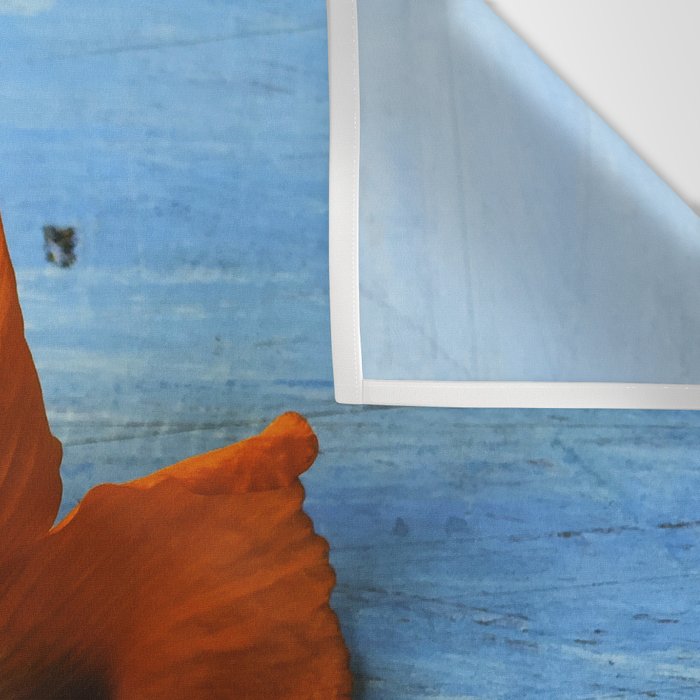 Red Poppy on Blue Wall Tapestry Gallery Image 3