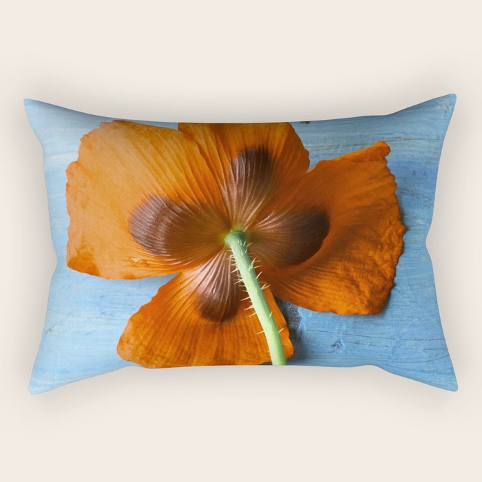Red Poppy on Blue Rectangular Pillow Gallery Image 2