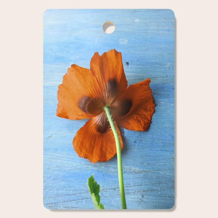 Red Poppy on Blue Cutting Board Gallery Image 1