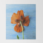 Red Poppy on Blue Throw Blanket Gallery Image 2