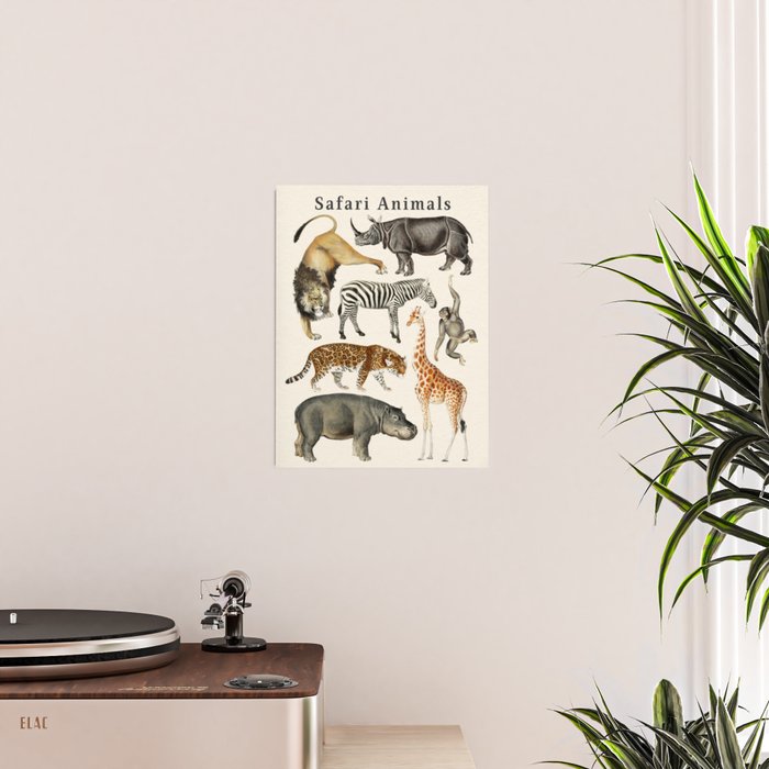 Safari Animals Collection Poster Gallery Image 2