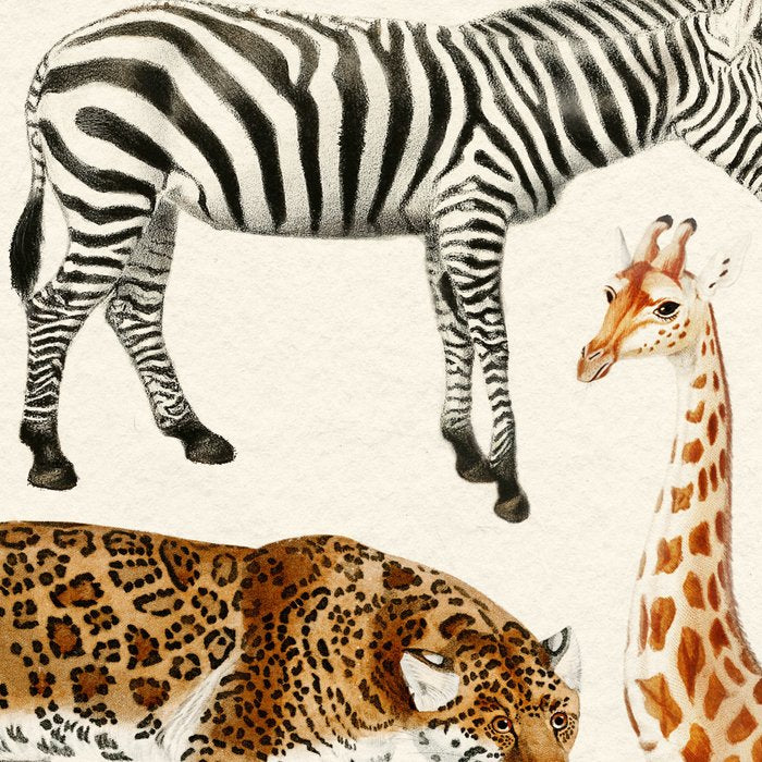 Safari Animals Collection Coffee Mug Gallery Image 2