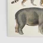 Safari Animals Collection Poster Gallery Image 3