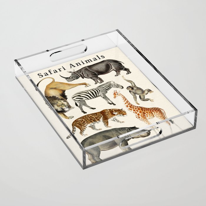 Safari Animals Collection Acrylic Tray Gallery Image 1