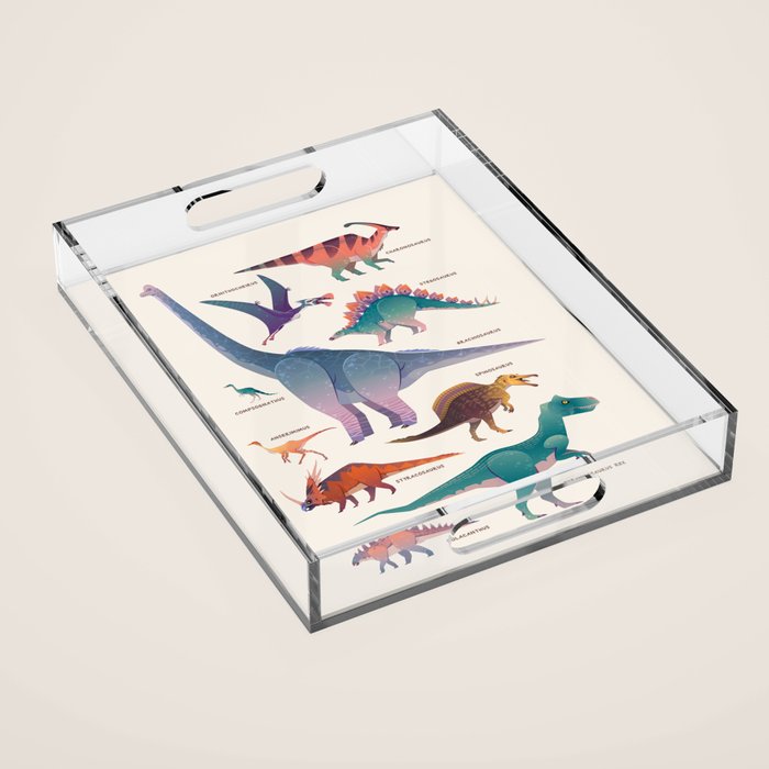 Dinosaurs Acrylic Tray Gallery Image 1