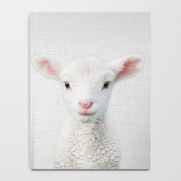 Lamb - Colorful Notebook Gallery Image 4