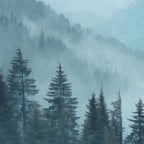 Misty Pine Forest Coffee Mug Gallery Image 2
