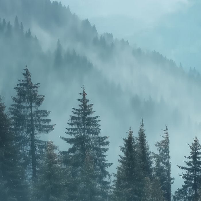 Misty Pine Forest Coffee Mug Gallery Image 2