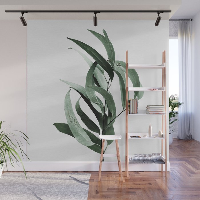 Eucalyptus - Australian gum tree Wall Mural Gallery Image 1