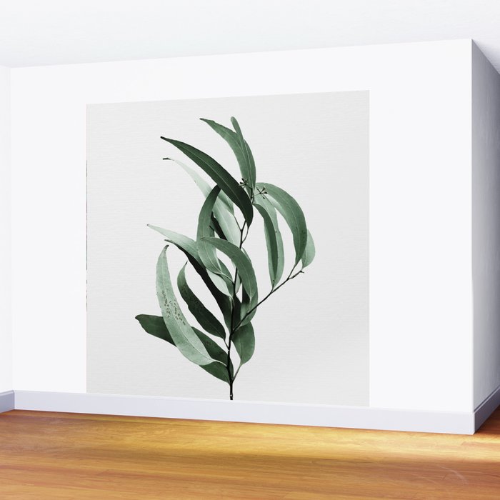 Eucalyptus - Australian gum tree Wall Mural Gallery Image 2