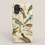 Titmice from The Edinburgh Journal, 1835 (benefitting The Nature Conservancy) iPhone Case Gallery Image 1