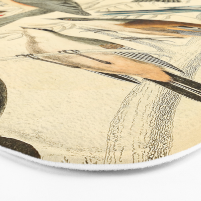 Titmice from The Edinburgh Journal, 1835 (benefitting The Nature Conservancy) Bath Mat Gallery Image 3