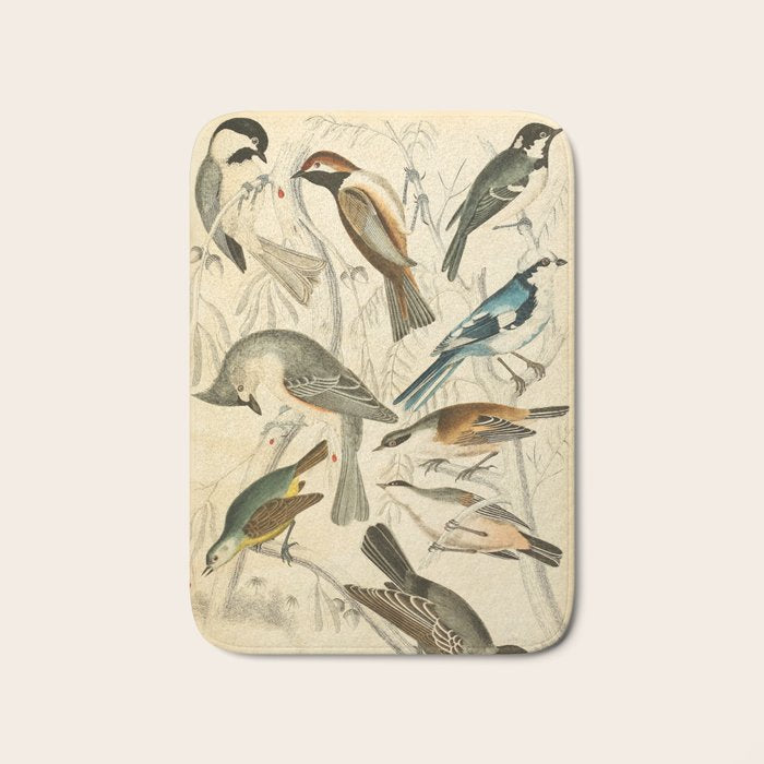 Titmice from The Edinburgh Journal, 1835 (benefitting The Nature Conservancy) Bath Mat Gallery Image 1
