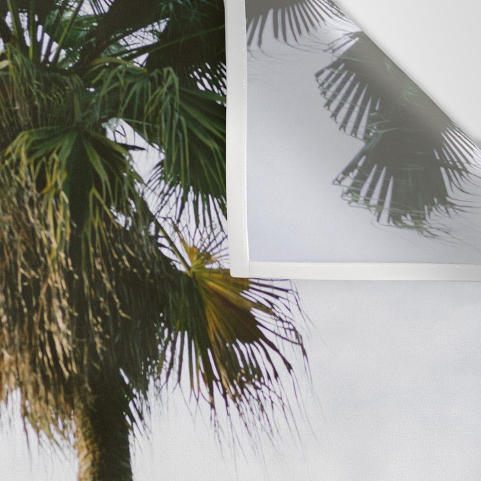 For the love of palm trees | Sintra Portugal fine art travel photography print Wall Tapestry Gallery Image 3