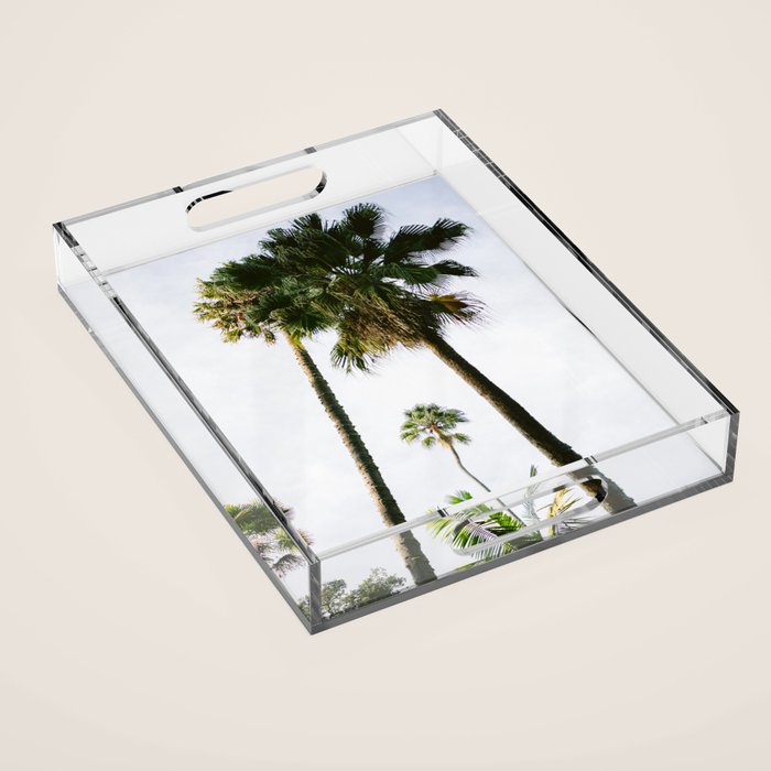 For the love of palm trees | Sintra Portugal fine art travel photography print Acrylic Tray Gallery Image 1