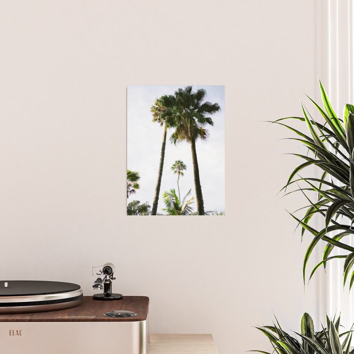 For the love of palm trees | Sintra Portugal fine art travel photography print Poster Gallery Image 2