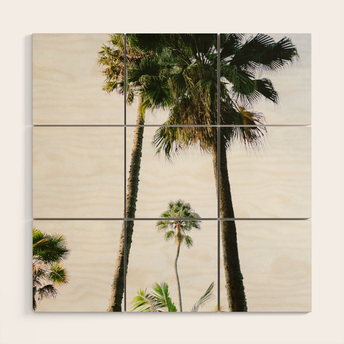 For the love of palm trees | Sintra Portugal fine art travel photography print Wood Wall Art Gallery Image 1