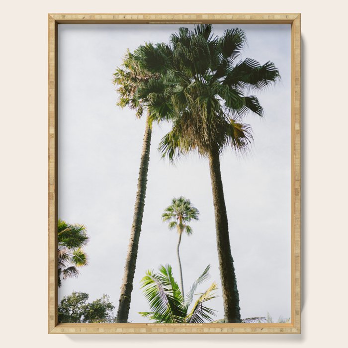 For the love of palm trees | Sintra Portugal fine art travel photography print Serving Tray Gallery Image 1