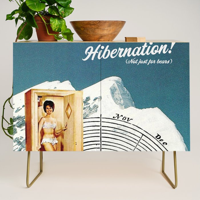 Hibernation! Not just for bears Credenza Gallery Image 1