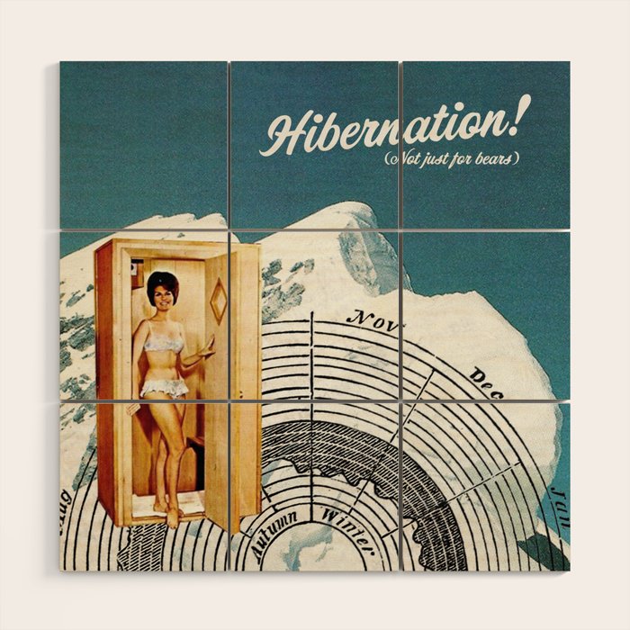Hibernation! Not just for bears Wood Wall Art Gallery Image 1