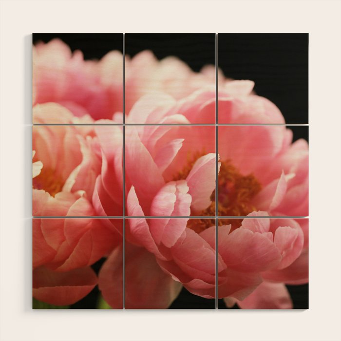 Haute Couture #5 Wood Wall Art Gallery Image 1