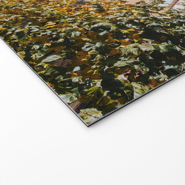 Autumn In Bruges II - Photography Welcome Mat Gallery Image 2