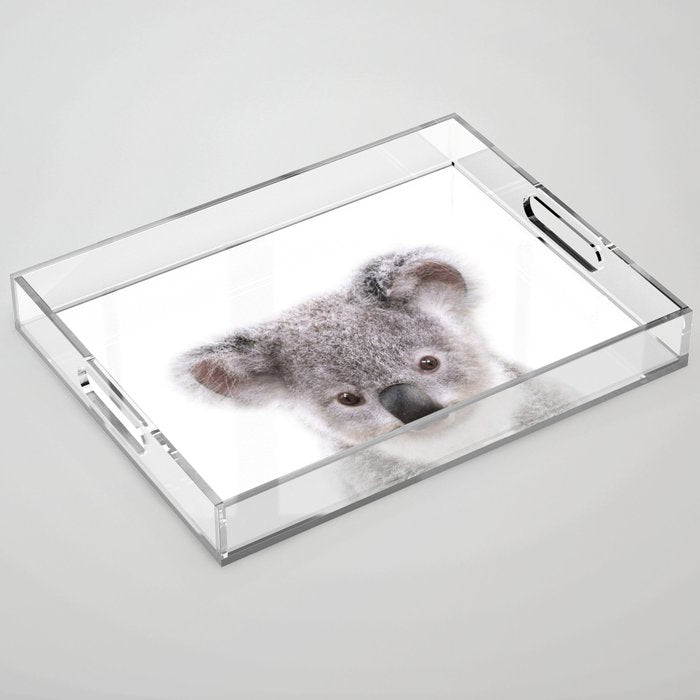 Baby Koala, Art for Kids, Nursery Art, Baby Animals Art Print By Synplus Acrylic Tray Gallery Image 1