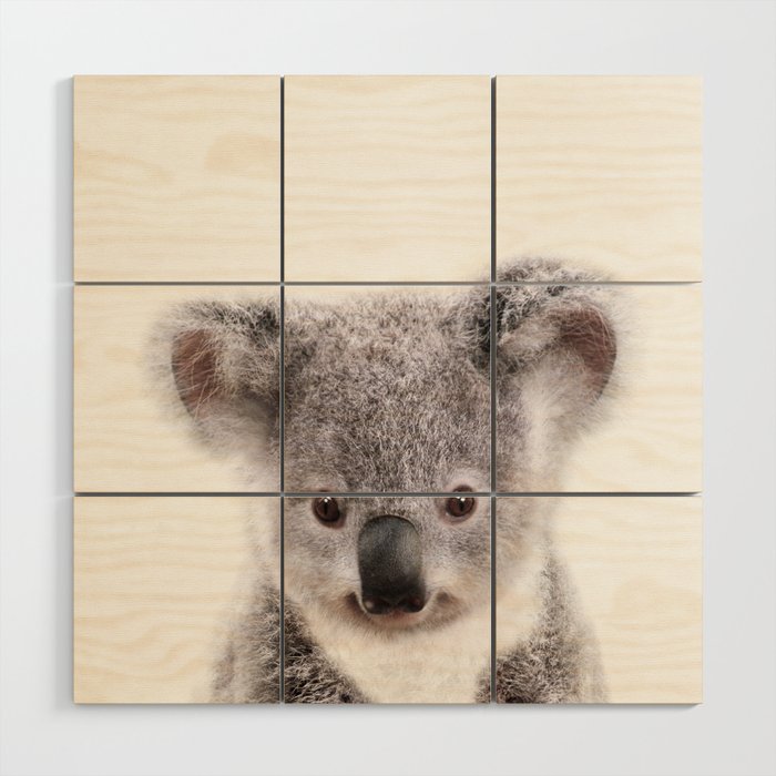 Baby Koala, Art for Kids, Nursery Art, Baby Animals Art Print By Synplus Wood Wall Art Gallery Image 1