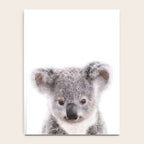 Baby Koala, Art for Kids, Nursery Art, Baby Animals Art Print By Synplus Notebook Gallery Image 4
