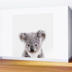 Baby Koala, Art for Kids, Nursery Art, Baby Animals Art Print By Synplus Wall Mural Gallery Image 2