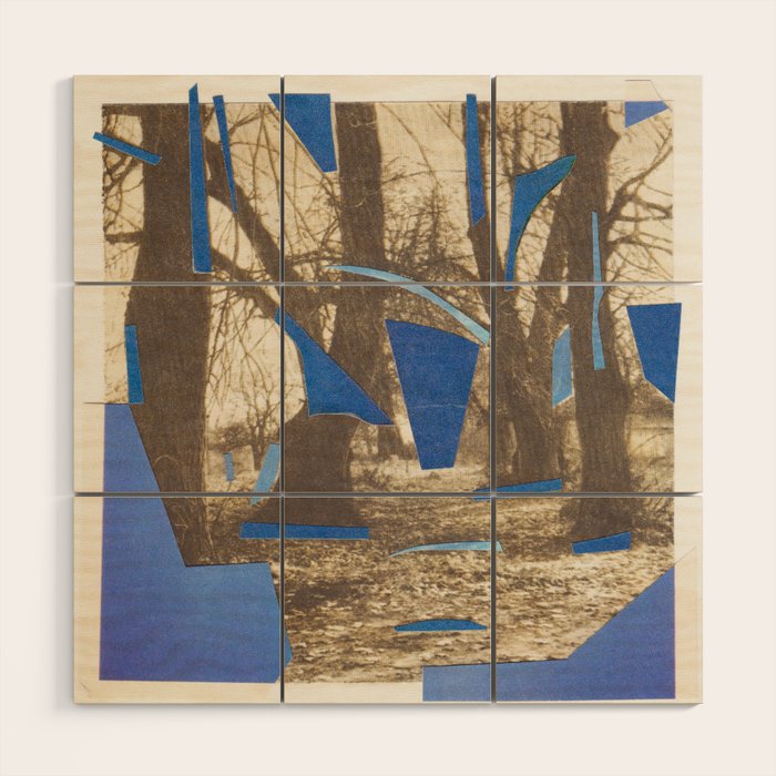 Frost Fragments Wood Wall Art Gallery Image 1