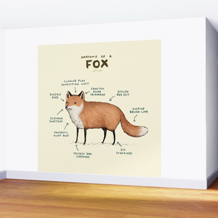 Anatomy of a Fox Wall Mural Gallery Image 2