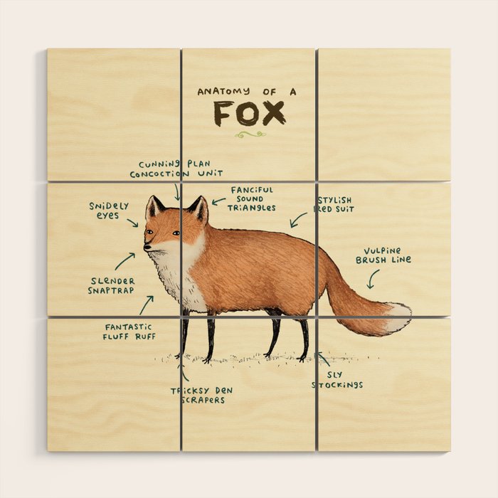 Anatomy of a Fox Wood Wall Art Gallery Image 1