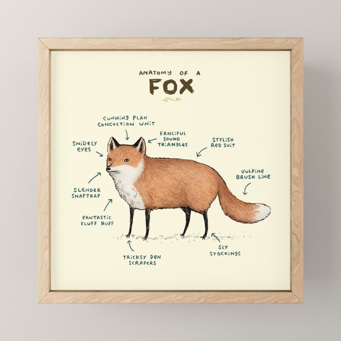 Anatomy of a Fox Mini Art Print Gallery Image 1