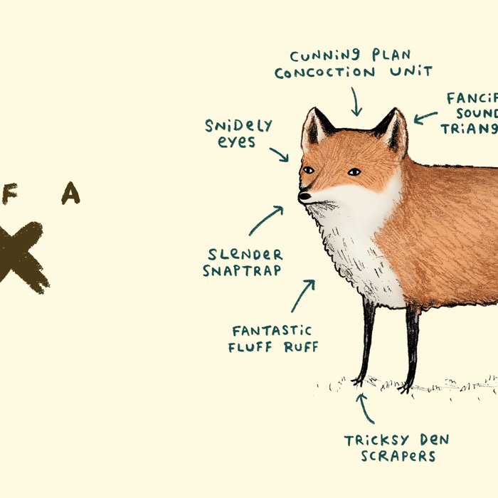 Anatomy of a Fox Coffee Mug Gallery Image 2