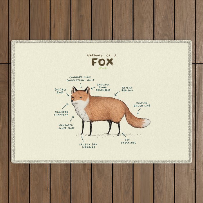 Anatomy of a Fox Outdoor Rug Gallery Image 1
