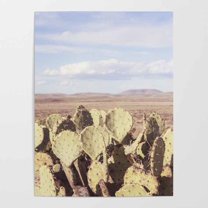 West Texas Landscape x Marathon Prickly Pear Cactus Photography Poster Gallery Image 4