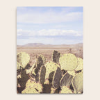 West Texas Landscape x Marathon Prickly Pear Cactus Photography Notebook Gallery Image 4