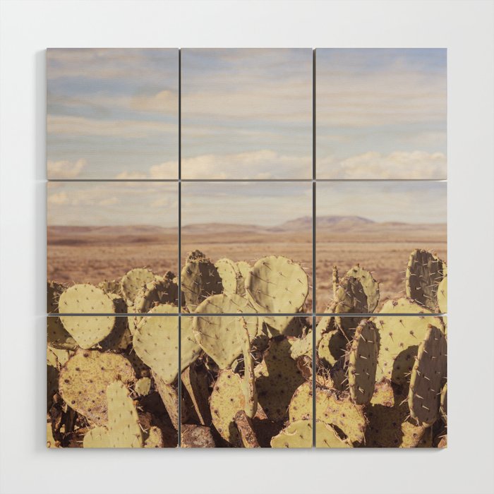 West Texas Landscape x Marathon Prickly Pear Cactus Photography Wood Wall Art Gallery Image 1