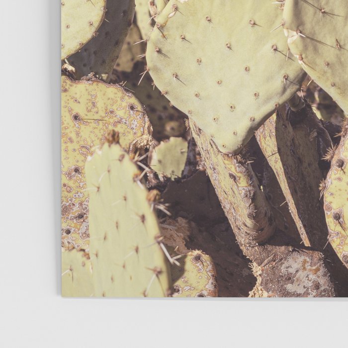 West Texas Landscape x Marathon Prickly Pear Cactus Photography Poster Gallery Image 3