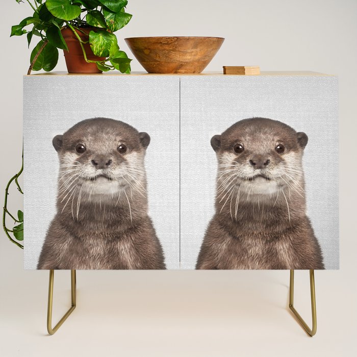 Otter - Colorful Credenza Gallery Image 1