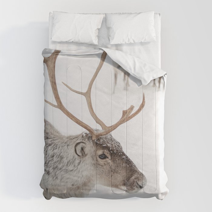 Reindeer With Antlers Art Print | Tromsø Norway Animal Snow Photo | Arctic Winter Travel Photography Comforter Gallery Image 6