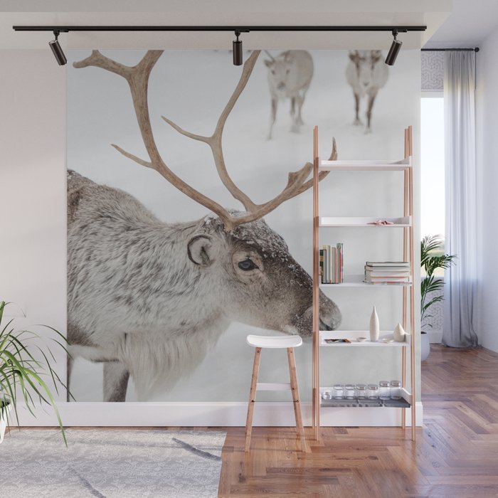 Reindeer With Antlers Art Print | Tromsø Norway Animal Snow Photo | Arctic Winter Travel Photography Wall Mural Gallery Image 1