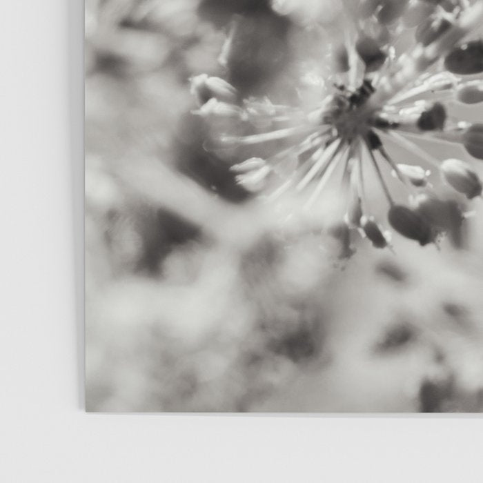 botanical abstract photograph no. 4 Poster Gallery Image 3